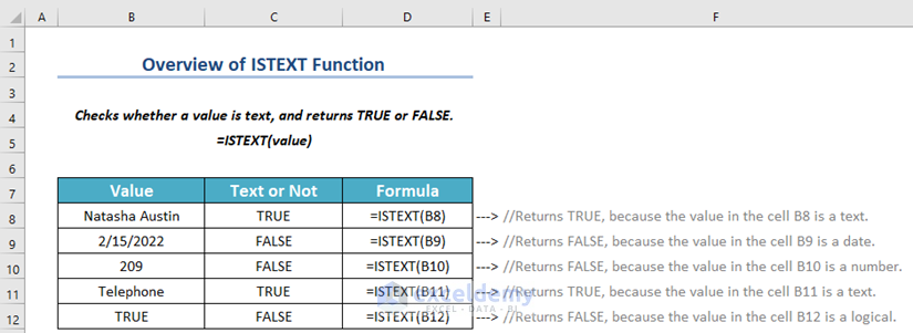Overview of Excel ISTEXT Function