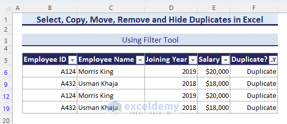 Duplicates are filtered with Filter drop-down