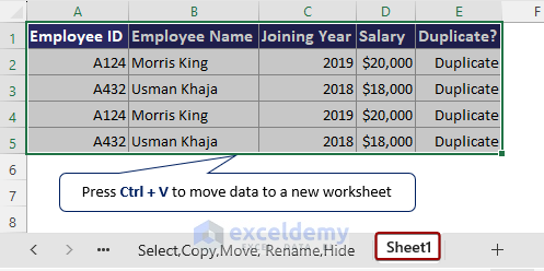 Moving and pasting duplicates in Excel