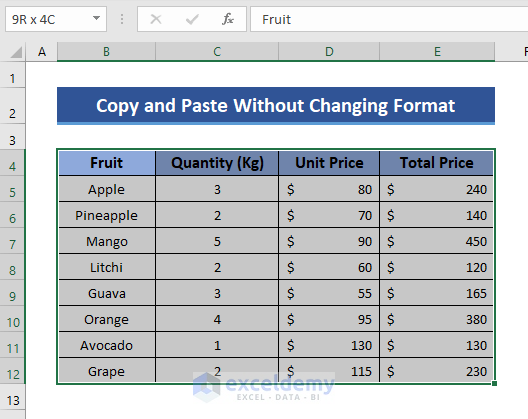 Select dataset to Copy and Paste in Excel without Changing the Format