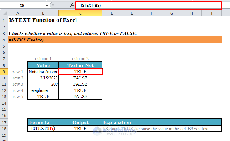 Quick View of Excel ISTEXT Function