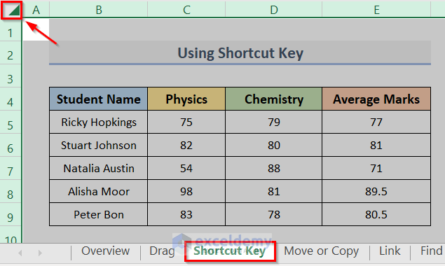Copy Single Excel Sheet with Formulas to Another Workbook