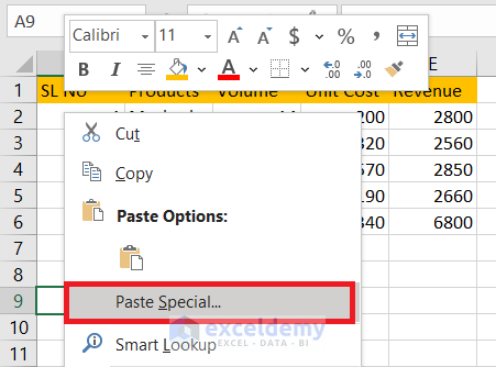 Paste Special Command in Excel