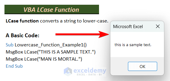 How to Use VBA LCase Function in Excel (3 Easy Examples)