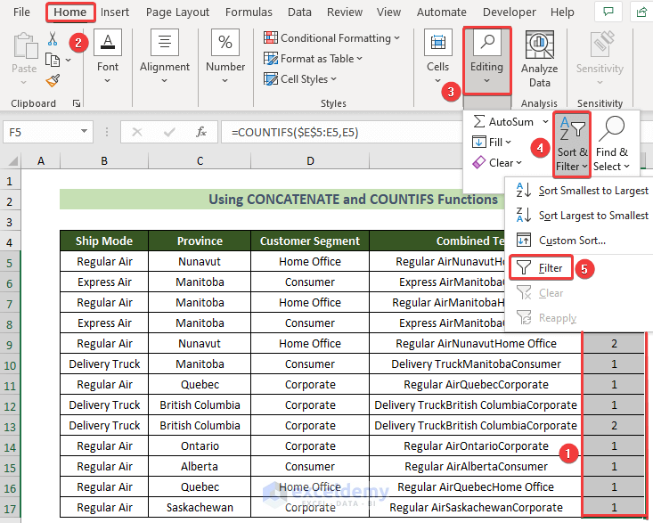 Filter Count Column to Filter Duplicates in Excel