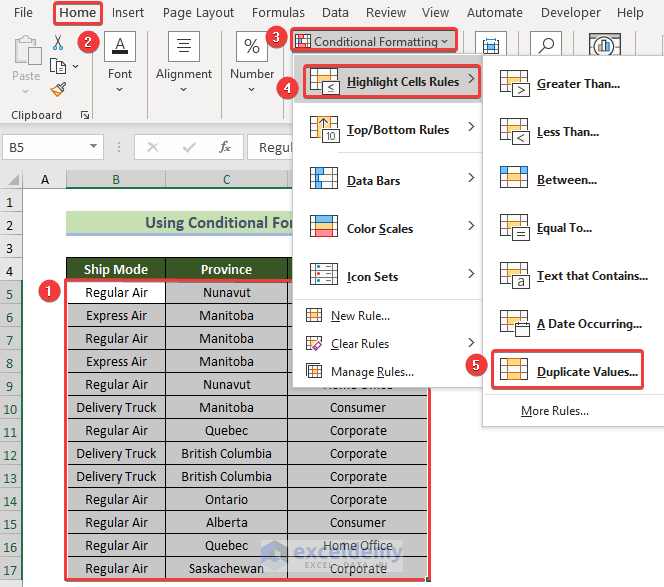 Using Conditonal FOrmatting to Filter Duplicates in Excel