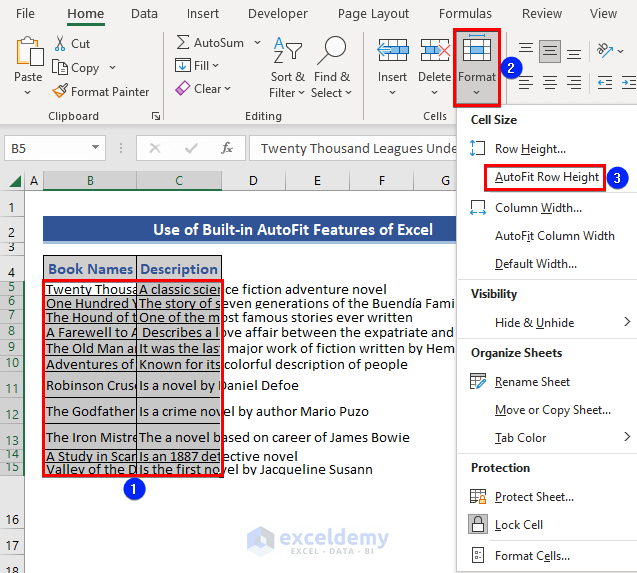 Apply Excel Feature to Make Excel Cells Expand to Fit Text Automatically