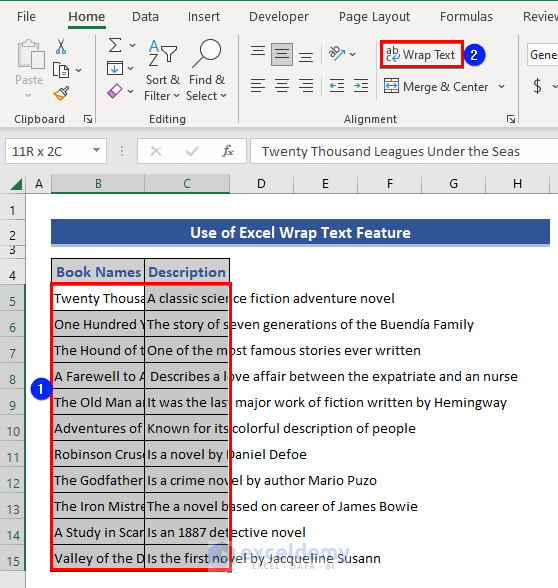 Wrap Text Feature to Make Excel Cells Expand to Fit Text Automatically
