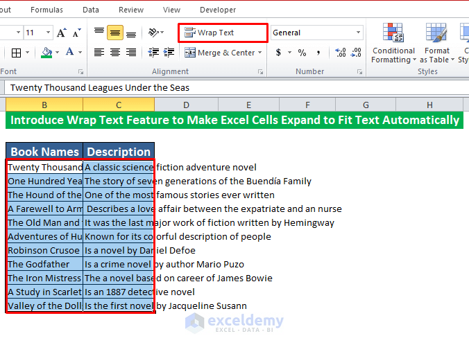 Introduce Wrap Text Feature to Make Excel Cells Expand to Fit Text Automatically