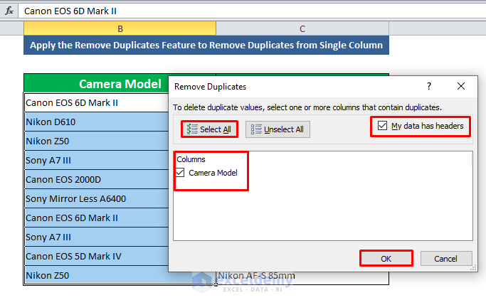 Apply the Remove Duplicates Feature to Remove Duplicates from Single Column