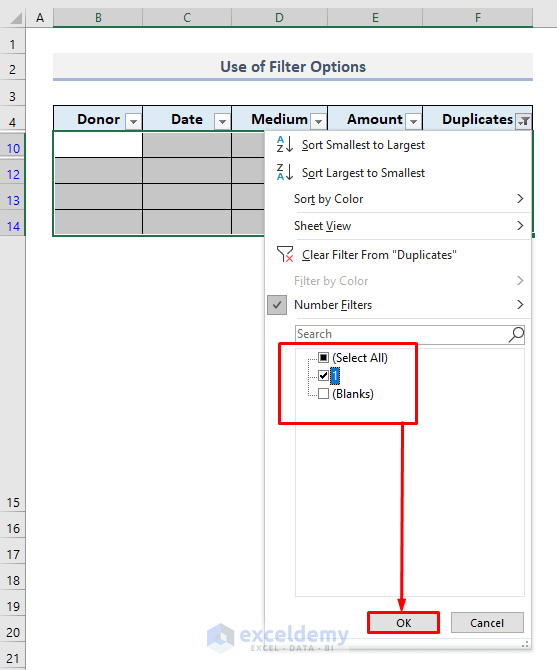 Apply Filter Options to Remove Duplicates Based on One Column