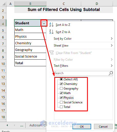 Sum Rows for Filtered Cells with Subtotal in Excel