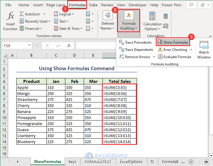 overview image of how to display cell formulas in Excel using Show Formulas command