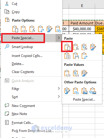 Selecting paste from paste special option