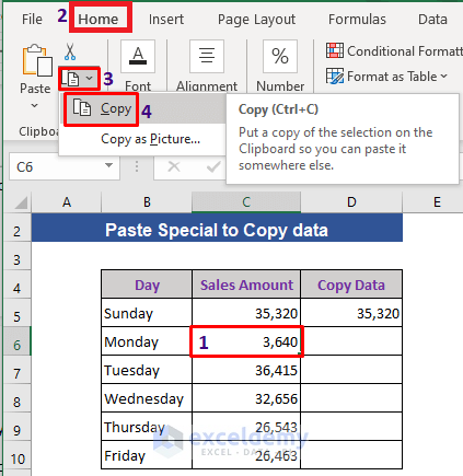 Apply Excel Paste Special Option to Copy Data to Another Cell Automatically