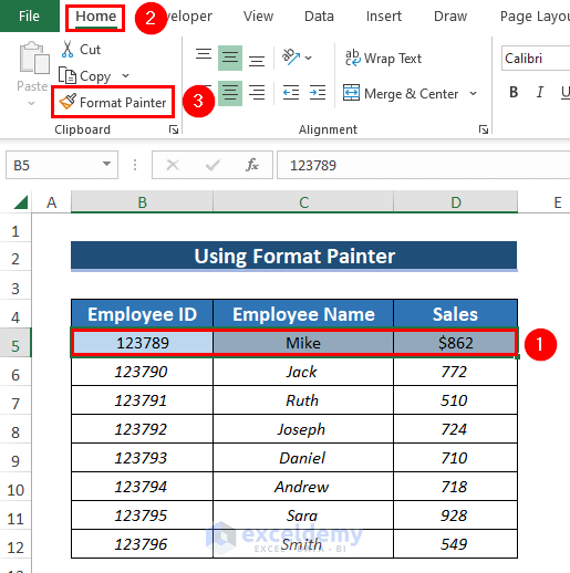 Using Fomat Painter to Copy and Paste Exact Formatting in Excel