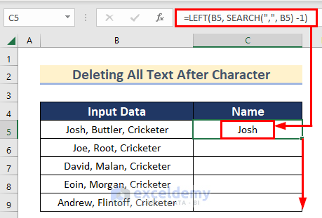 Apply Excel LEFT Function to Remove Text After Character