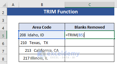 Excel TRIM Function to Remove Blank Characters