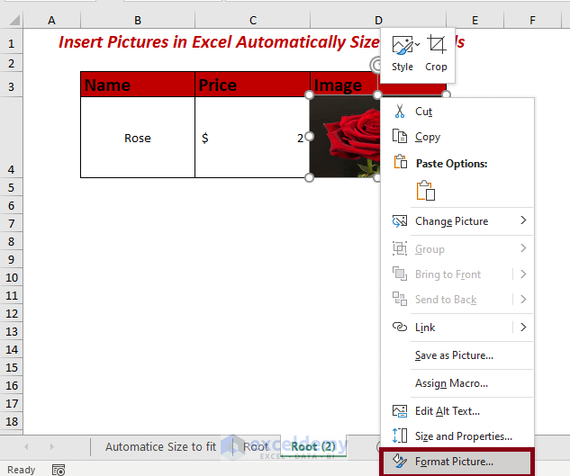 Locking Pictures in Excel