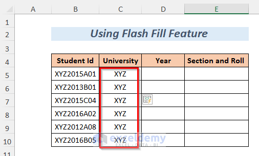 flash fill feature