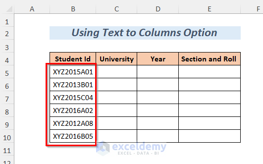 Data for Using Text to Column feature