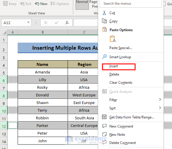 How to Insert Rows in Excel Automatically