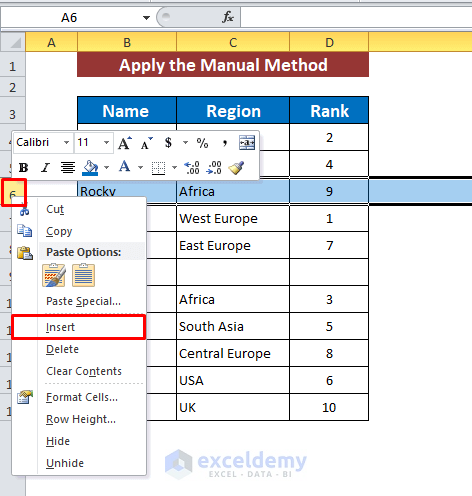 Apply the Manual Method to Insert Rows Automatically