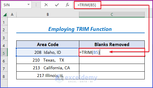 Employing TRIM Function to Remove Blank Characters in Excel
