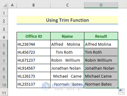 Autofilling the data by using Fill Handle