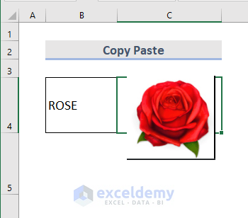 Copy Paste Method to Insert Picture into an Excel Cell