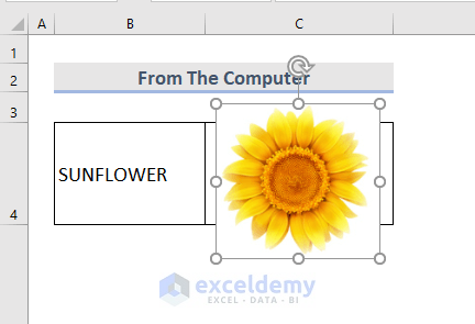 Insert Picture From The Computer into Excel Cell