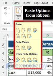 Excel Paste Options from the Ribbon