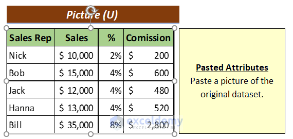 Paste as Picture (U) Output: Paste Options in Excel