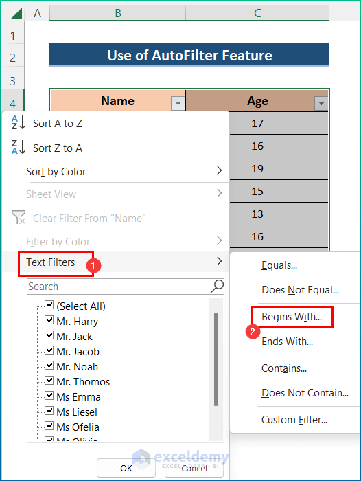 Use of AutoFilter Feature in Excel