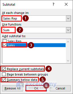Choices selection in Subtotal dialog box 