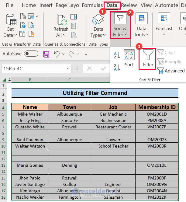 Selecting Filter Command to Remove Blank Lines in Excel