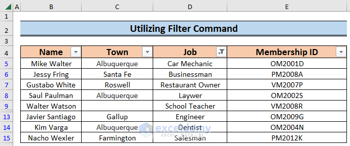 Utilizing Filter Command to Remove Blank Lines in Excel