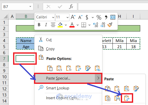 paste special command in excel