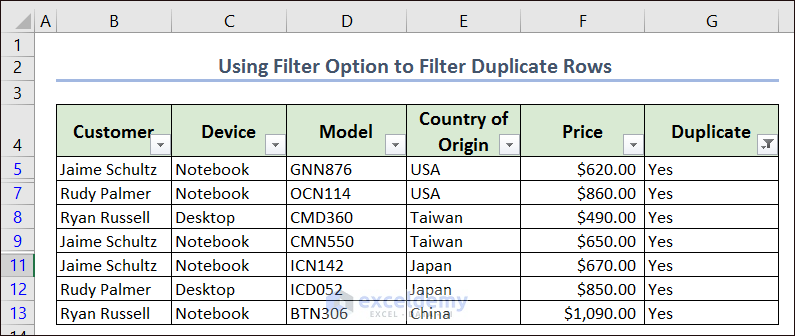 Using Filter Option to Filter Duplicate Rows