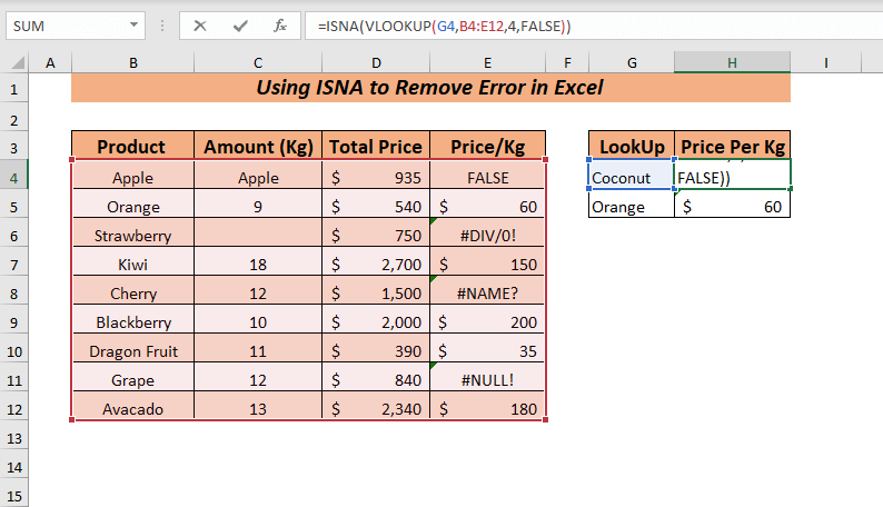 Using the ISNA Function to Remove Error