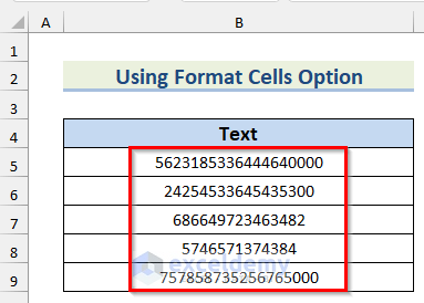 Results found after using format cells option