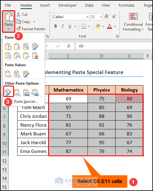 Using paste special only formatting option
