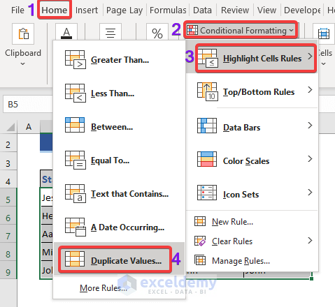 Duplicate selected from the Highlight cell rules to format cells that contains duplicate words