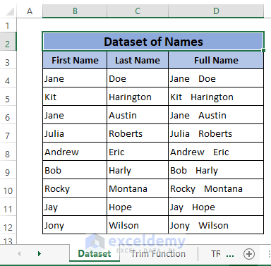 Dataset-Remove Trailing Spaces in Excel