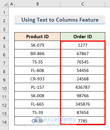 Final Result of Using Text to Columns Feature