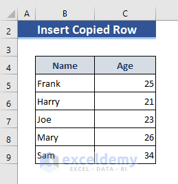 Insert Copied Rows by Macro
