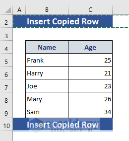 Insert Copied Rows by Macro