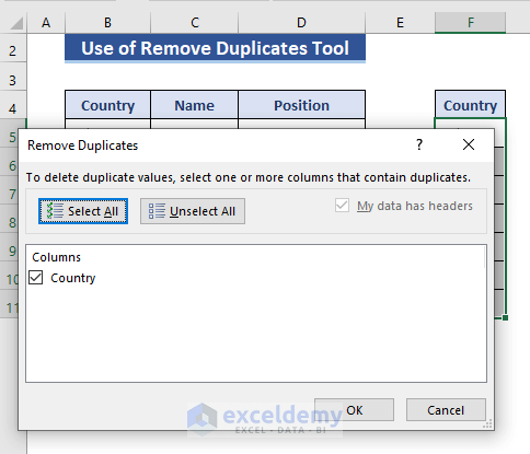 Use Excel Remove Duplicates Tool to Keep the First Instance Only