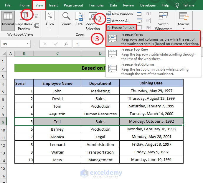 Freeze Rows and Columns at the Same Time in Excel Based on Rows