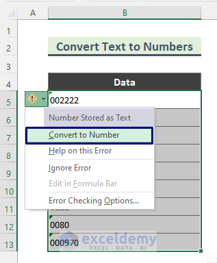 Remove Leading 0 Using Error Checking Option (Convert Text to Number)